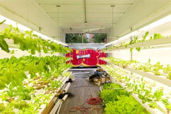Hydroponic Farming Prefab Container Homes Light Steel Frame Modular Home